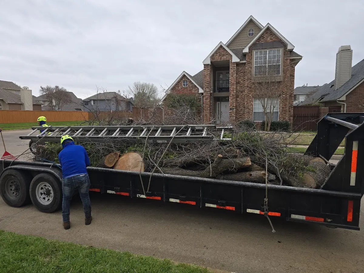 Expert Tree Fertilization with proper safety equipment in Grenville